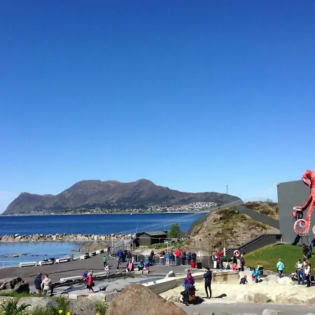 Four Monkeys Alesund