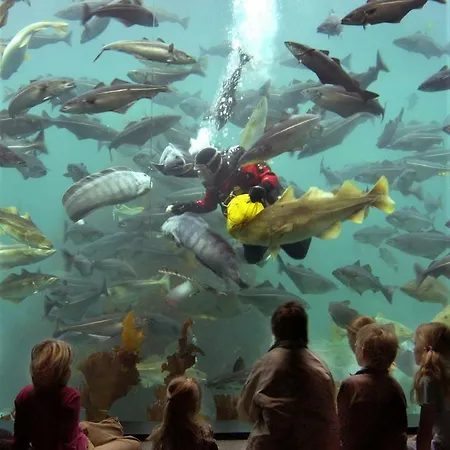 Hotel First Atlantica